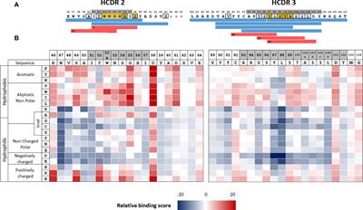 Combining deep mutational scanning to heatmap of HLA class II binding of immunogenic sequences to preserve functionality and mitigate predicted immunogenicity